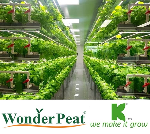 About Blossom Agritech About Blossom Agritech
