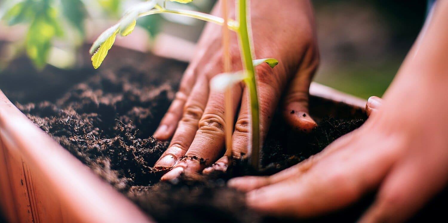Blossom Agritech