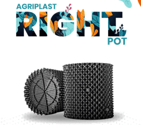 Right Pot
