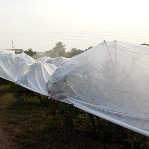Crop Cover