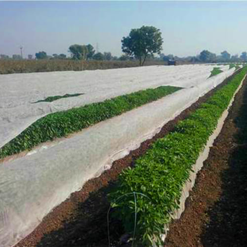 Crop Cover