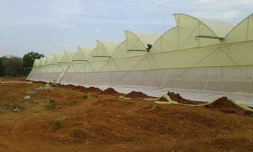 Poly Film