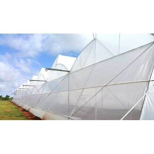 Poly Film