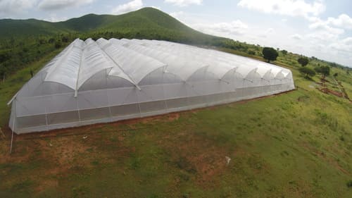 Poly Film