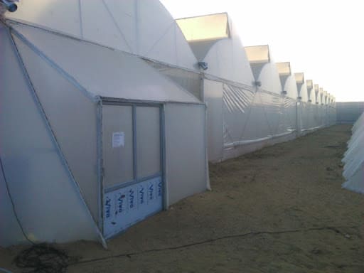 Poly Film