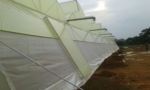 Poly Film