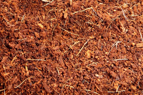 Coco Peat RG12