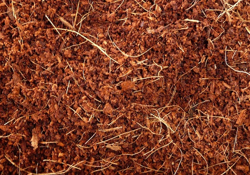 Coco Peat RG34