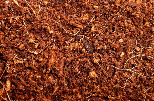 Coco Peat RN14