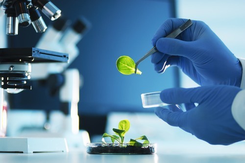Testing and Laboratory Services Testing and Laboratory Services
